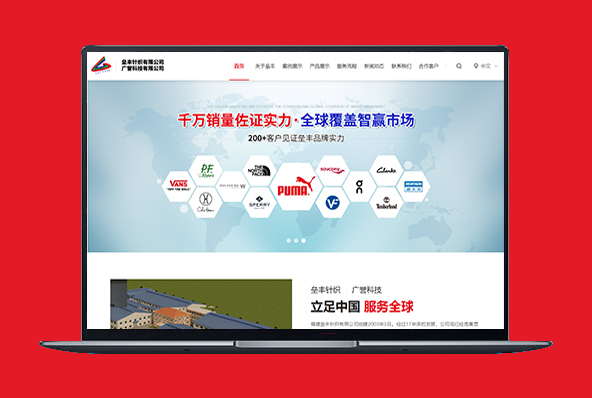 电脑站/手机站/服务流程/中英文网站