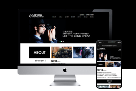 电脑站/手机站/案例展示