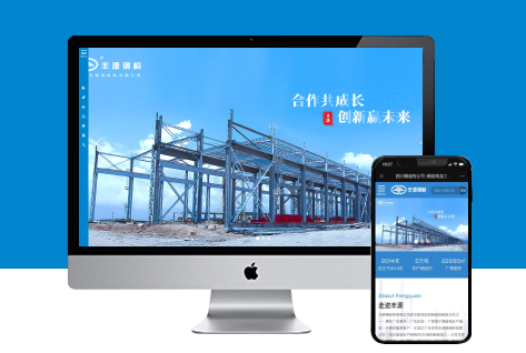电脑站/手机站/工程案例