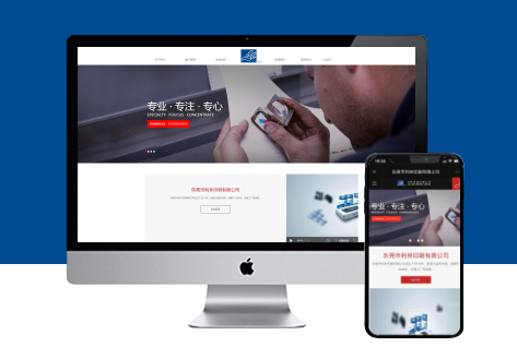 电脑站/手机站/案例展示